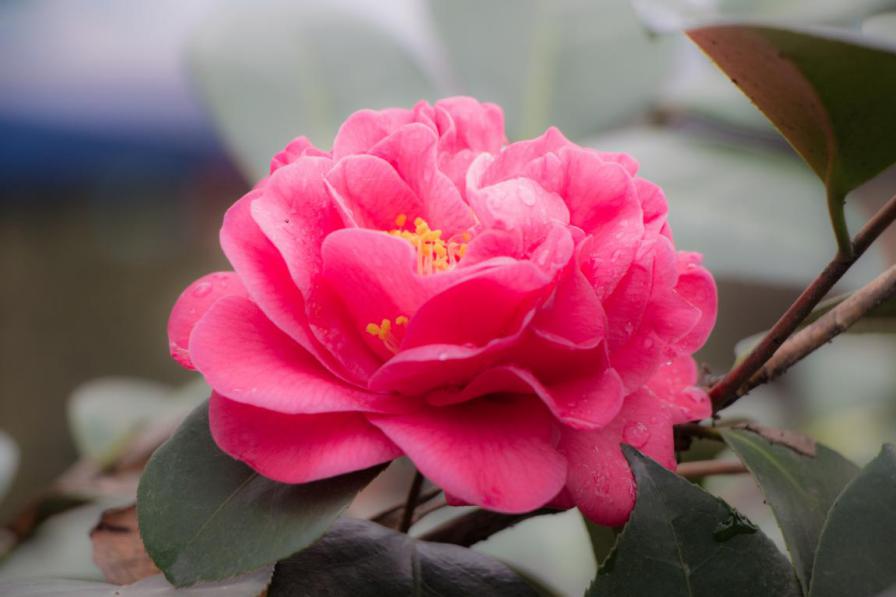 春暖花开 春暖花开
